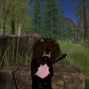 Thumb 5eab9780289dd25b71e7d9da