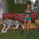 Thumb 60f44af1d6dbdf2d3a29ecfa