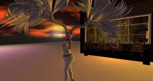 Web 5e25030ad9859c6d67cfdfce