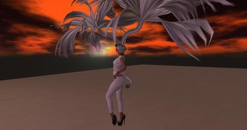 Web 5e25035b289dd21d1c9c7b1c