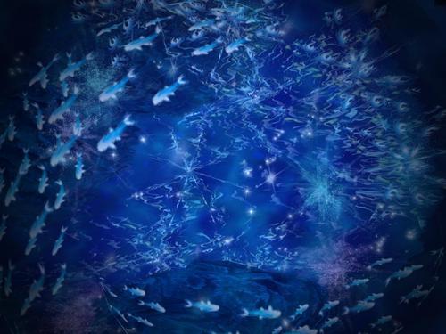 Web 6107c5b68afba35a98f8d3e4