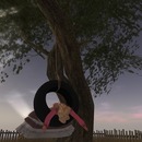 Thumb 53ba3da2128cc94887000001