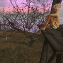 Thumb 53ba5cad8da57265cb000001