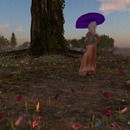 Thumb 53c0342da73e210fc8000001