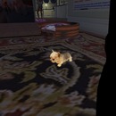 Thumb 540bf5f9f8a1ec1ab9000001