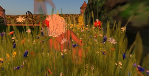 Web 5311bea0a73e2127fc000001