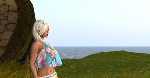 Web 53c02795a73e212aa5000001