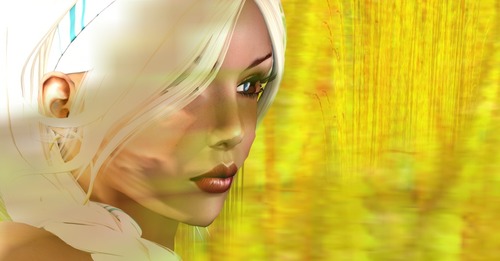 Web 53c02a9af8a1ec631f000001