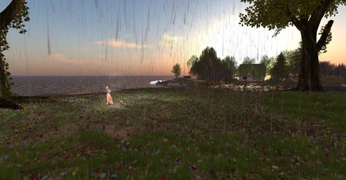 Web 53c02bb8128cc90cd0000001