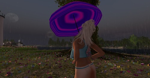 Web 53c02cf3128cc91457000001