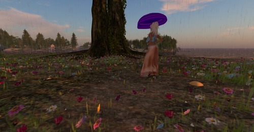 Web 53c0342da73e210fc8000001