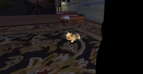 Web 540bf5f9f8a1ec1ab9000001