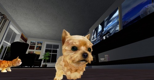 Web 540bf9bea73e2103c5000001