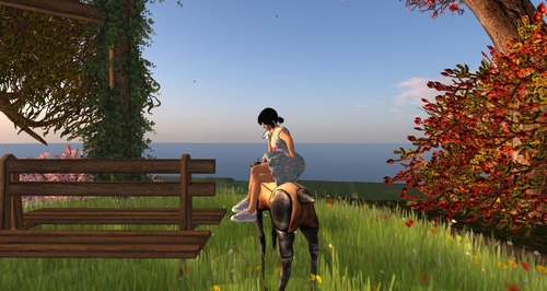 Web 55d2266b8da57275d1000001