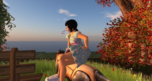 Web 55d227828da5720148000001