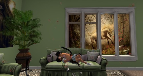 Web 5622c3673f942f4bdf000001