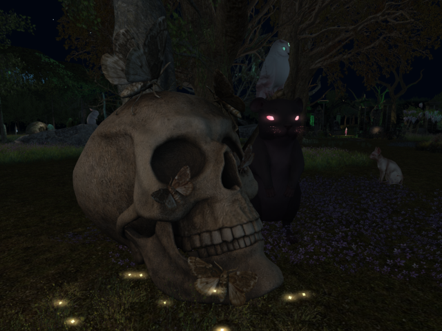 Original 652c63839dd927244cc468df