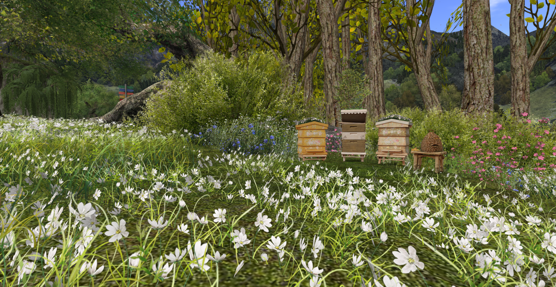 Original 664fafb6c32c97760bd3a51e