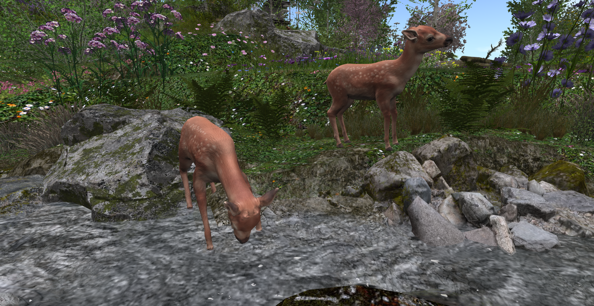 Original 66513d1f9299744d997293cf