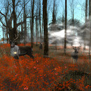 Thumb 651cbef95701ec4b07c8cbdf