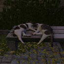 Thumb 651cc5769a872601f94b6665