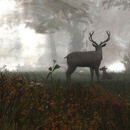 Thumb 6531a416013fdb47de7d0cea