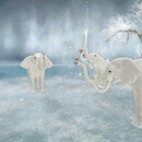 Thumb 6531c941ddef4c254a4b7d39