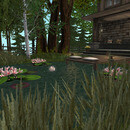 Thumb 65347d0a013fdb48f67d0cea