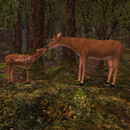 Thumb 65347ef45523990f40c8ada9