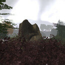 Thumb 653548e4b0864807fc000499