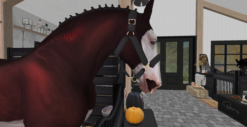 Web 6520349cbbe977016954be73