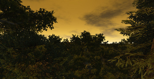 Web 6521cf6ae556e97b372a029d