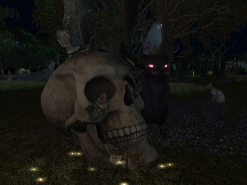 Web 652c63839dd927244cc468df