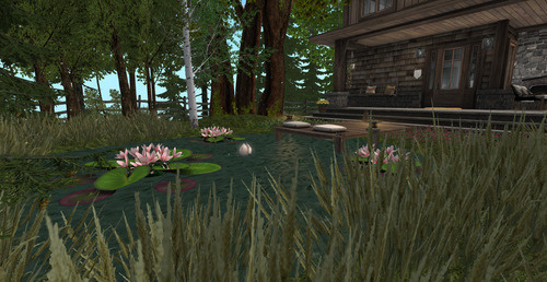 Web 65347d0a013fdb48f67d0cea