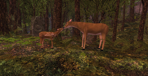 Web 65347ef45523990f40c8ada9