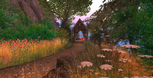 Web 65348424e556e966e72a029d