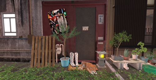 Web 6637c9a020ed665e59c9928f