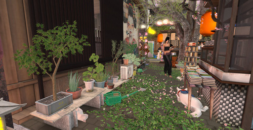 Web 6637c9ce20ed6661f5c9928f