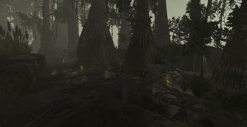 Web 679ccd473ed4fb5347f3f1c2