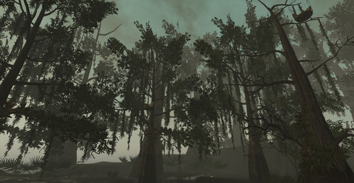 Web 679ccd877dc6a2770245a22a