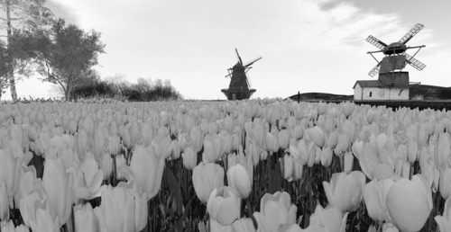 Web 67d06bea1711e77ad7a7d082