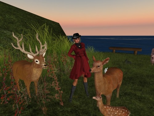 Web 54c76f0cf8a1ec06b2000001