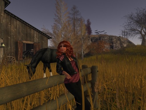 Web 5631aa6b128cc955ab000001