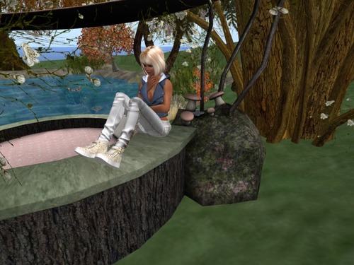 Web 5638b93e3f942f6bbe000001