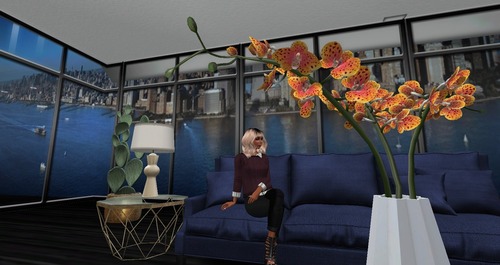 Web 5898777be85cda7511000001