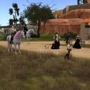 Thumb 5ada6e3bd774f81b64000001