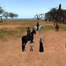 Thumb 5ae6acaad774f843de000001