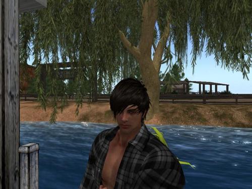 Web 595a599bd774f866c2000001