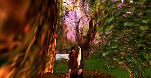 Web 59b2046073ed173adc000001