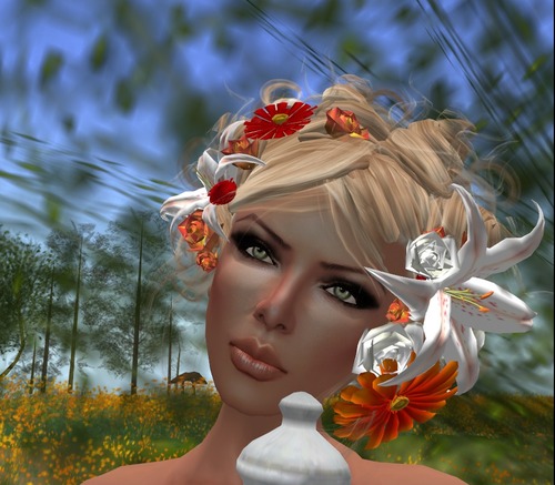 Web 53309545128cc973cb000001